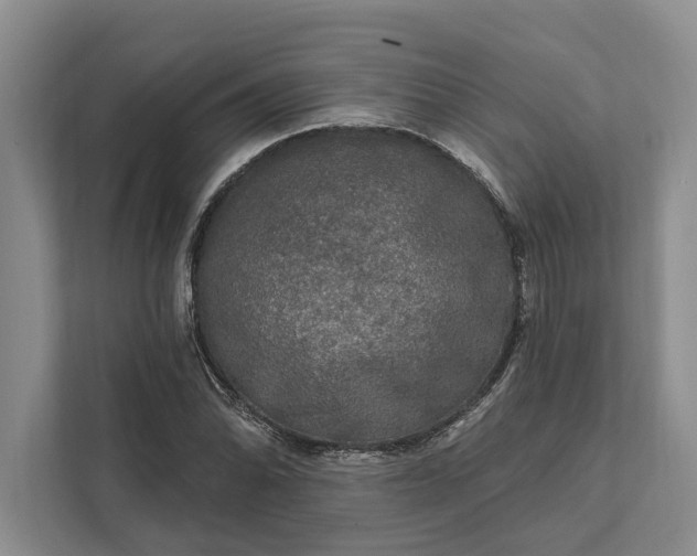 X0000112021070200908171425