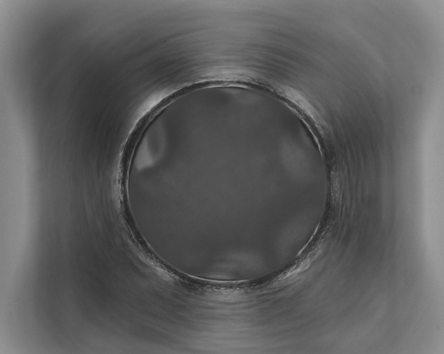 X0000112021071200908171425