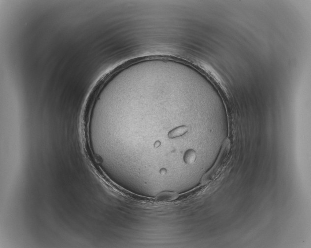 X0000112021072200908171425