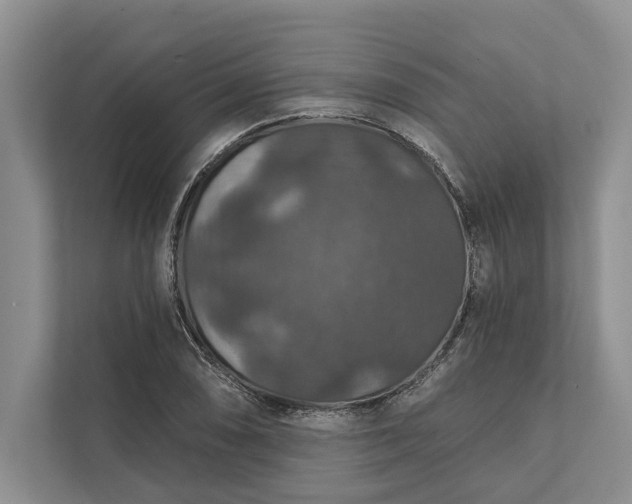 X0000112021074200908171425