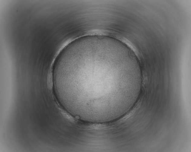 X0000112021075200908171425