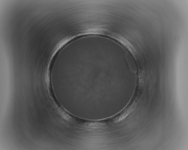 X0000112021077200908171425