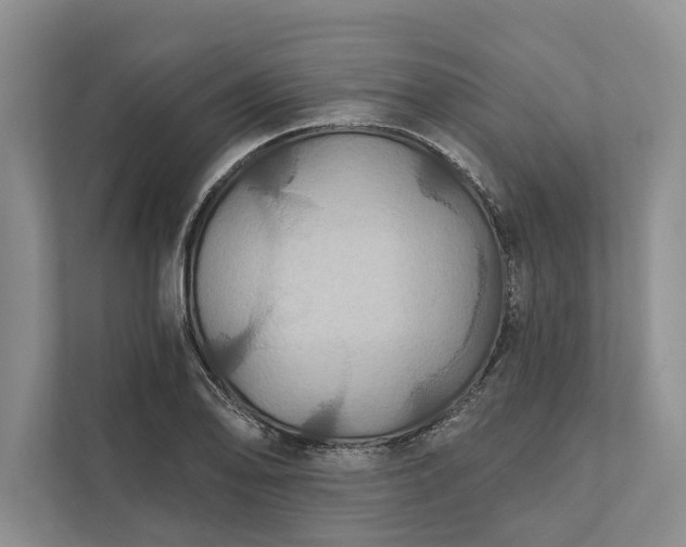 X0000112021078200908171425