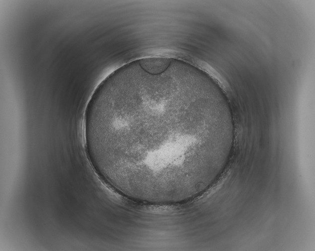 X0000112021079200908171425