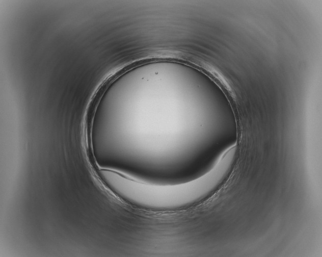 X0000112021080200908171425