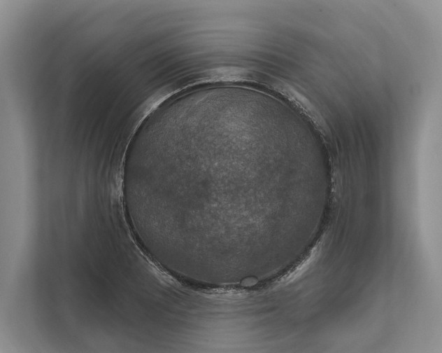 X0000112021081200908171425