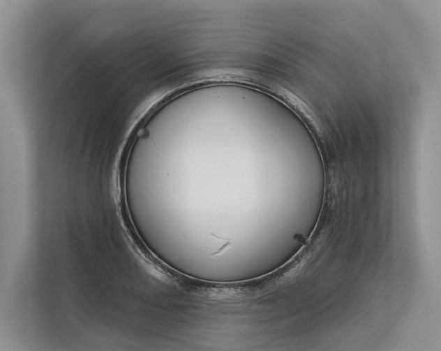 X0000112021082200908171425