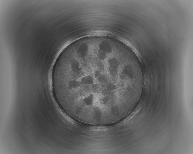 X0000112021083200908171425