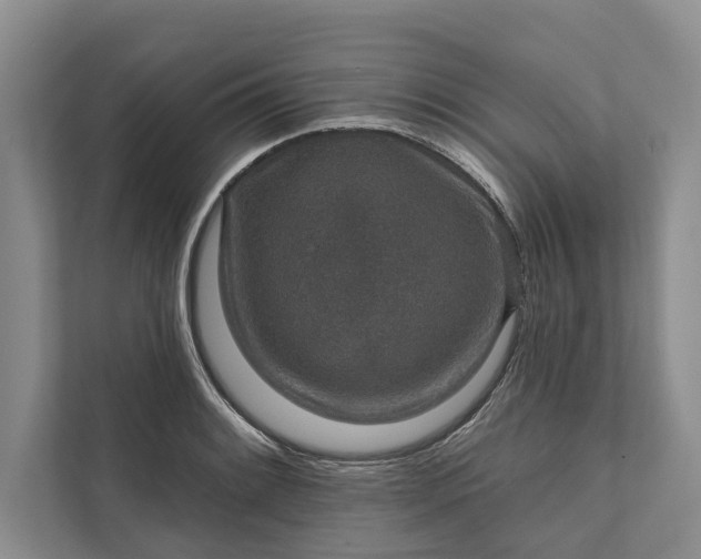 X0000112021084200908171425