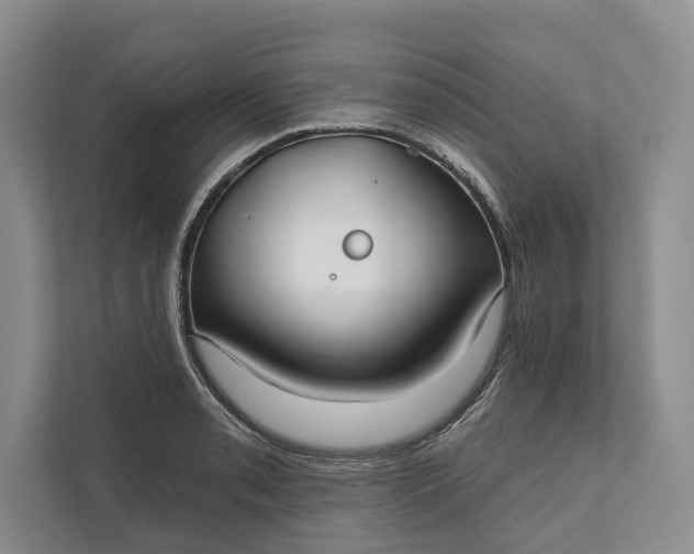 X0000112021085200908171425