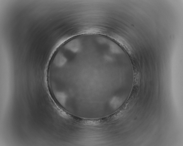 X0000112021086200908171425