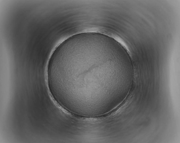 X0000112021088200908171425