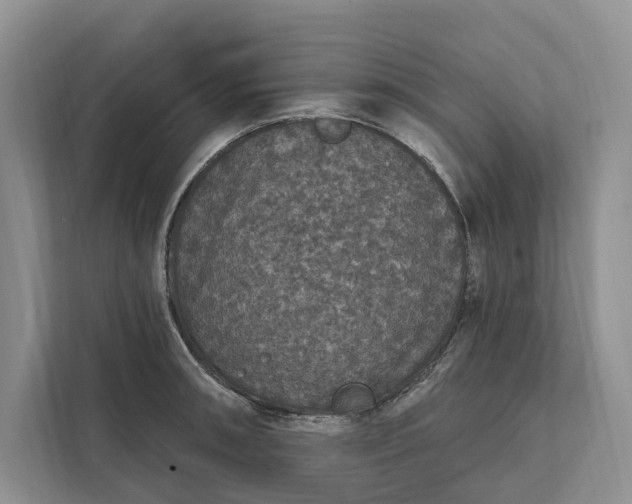 X0000112021090200908171425