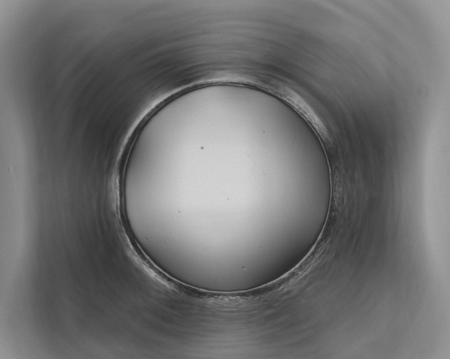 X0000112021092200908171425