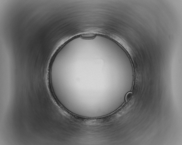 X0000112021093200908171425