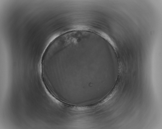 X0000112021095200908171425