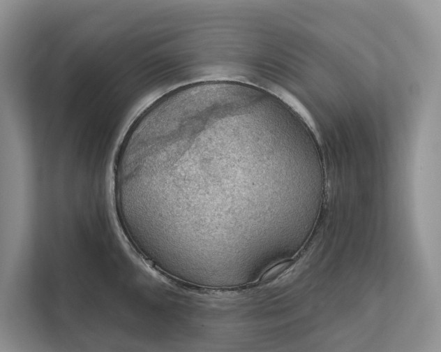 X0000112021096200908171425