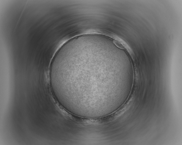 X0000112021097200908171425