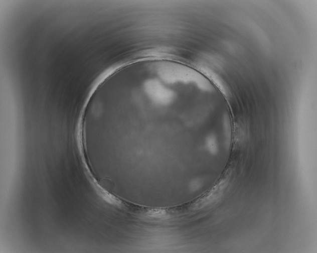 X0000112021098200908171425