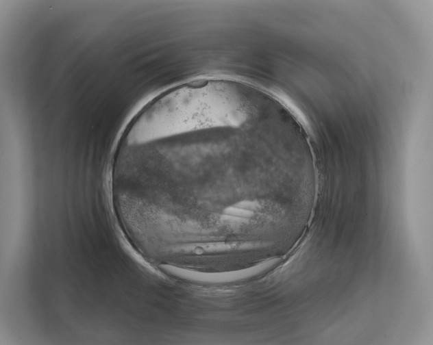 X0000112021100200908171425