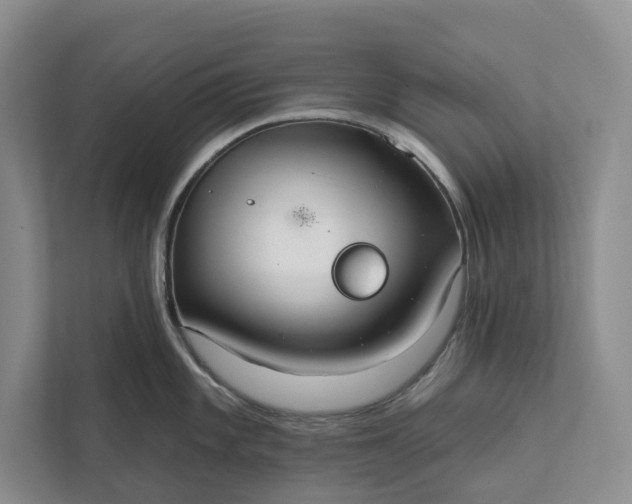 X0000112021101200908171425