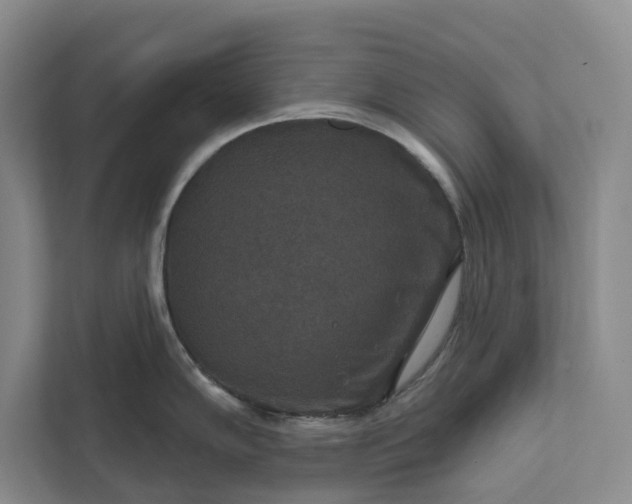 X0000112021102200908171425