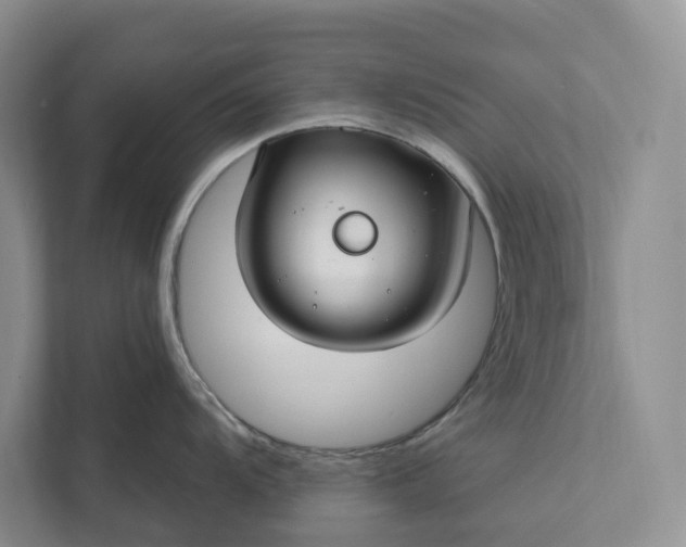 X0000112021104200908171425