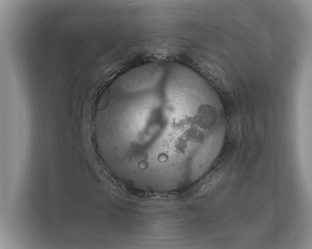 X0000112021105200908171424