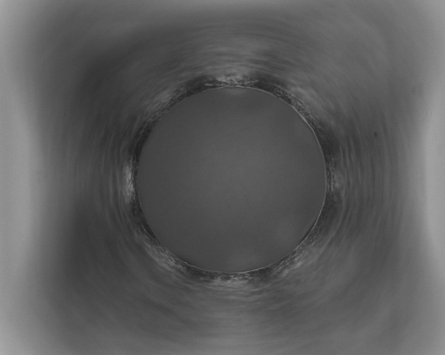 X0000112021106200908171424