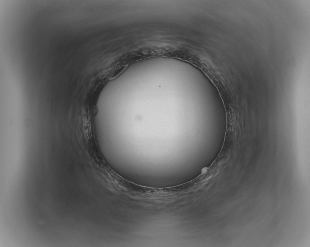 X0000112021109200908171424