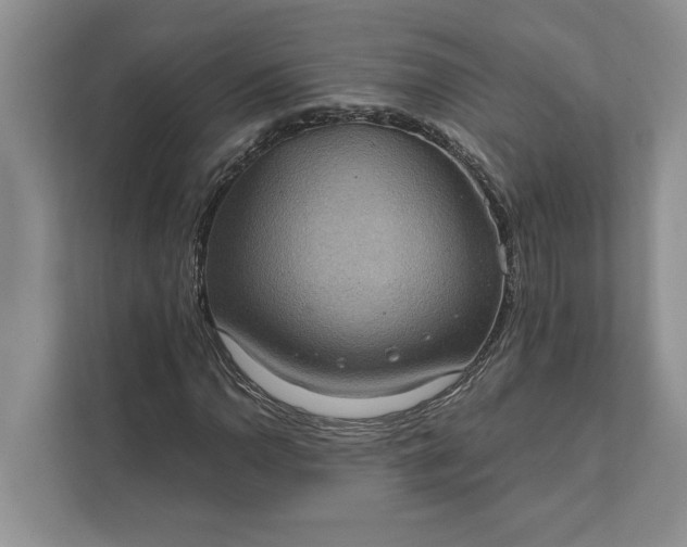 X0000112021110200908171424