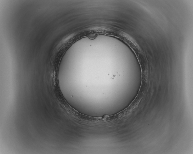 X0000112021111200908171424