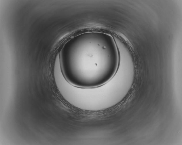 X0000112021112200908171424