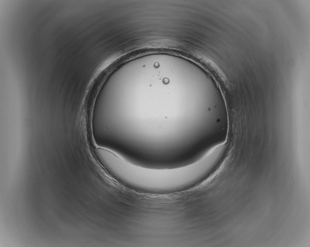 X0000112021114200908171424