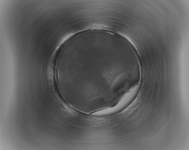 X0000112021115200908171424