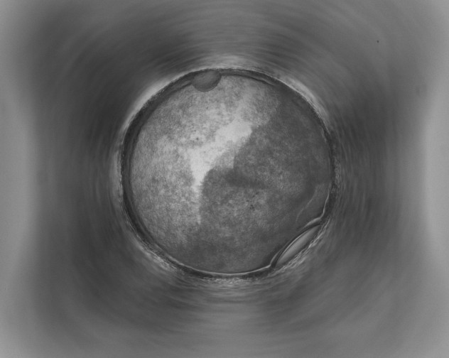 X0000112021120200908171424