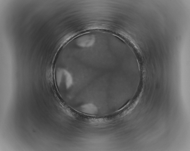 X0000112021121200908171424