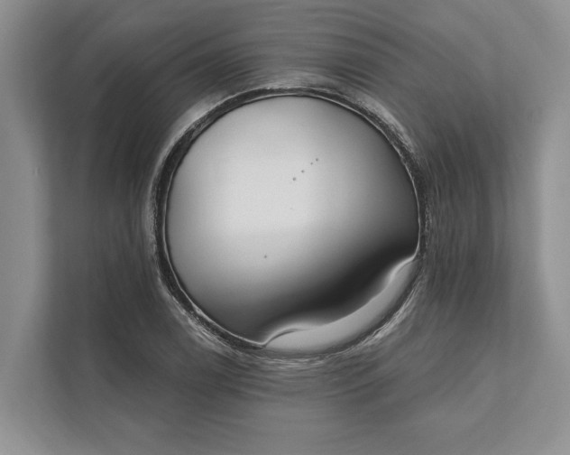 X0000112021122200908171424