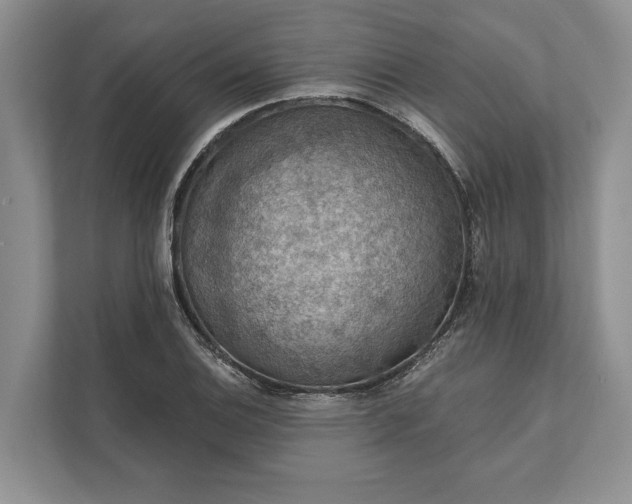 X0000112021124200908171424