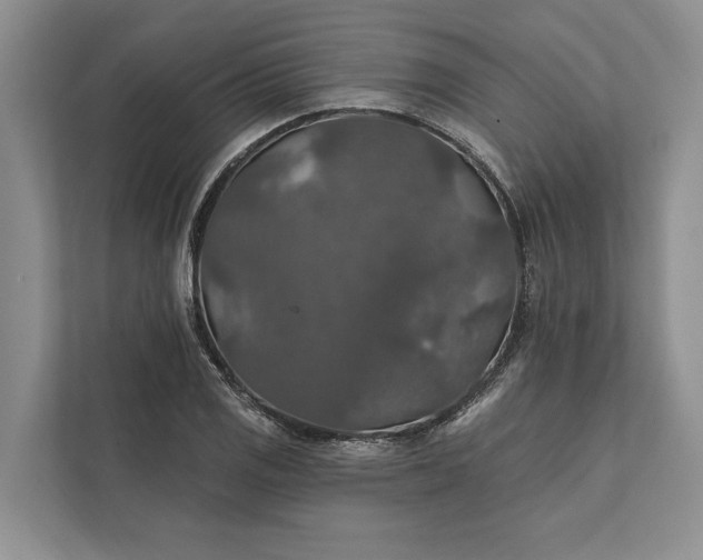 X0000112021125200908171424