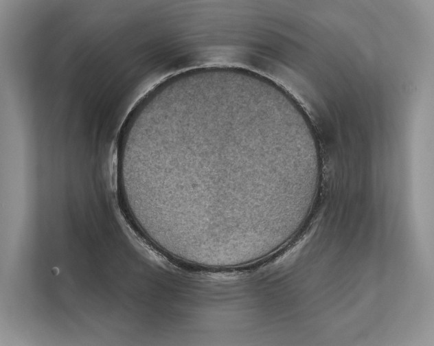 X0000112021126200908171424