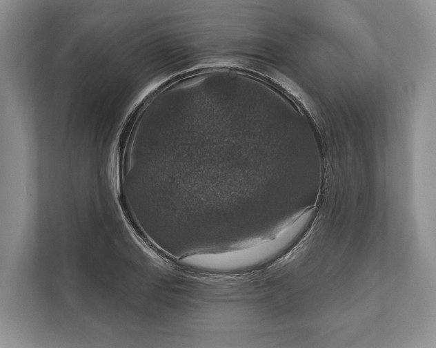 X0000112021127200908171424