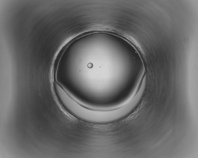 X0000112021128200908171424