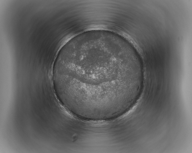 X0000112021129200908171424