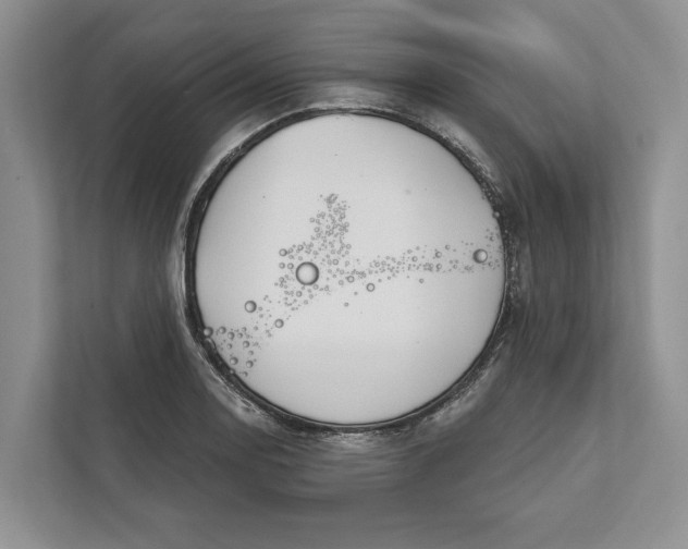 X0000112021130200908171424