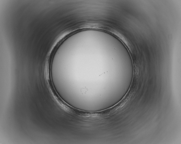 X0000112021131200908171424