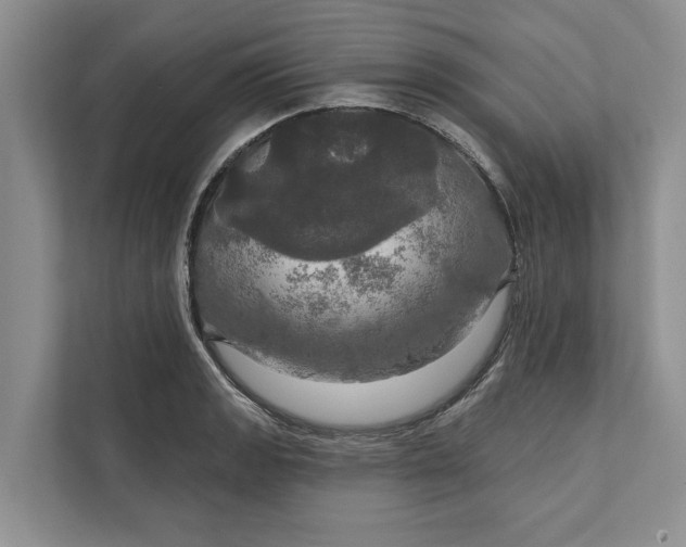 X0000112021133200908171424