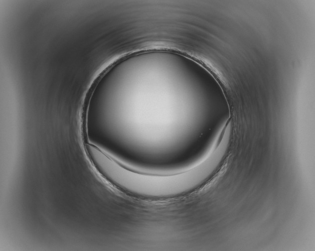 X0000112021134200908171424