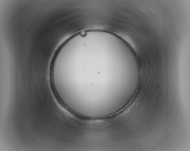 X0000112021135200908171425