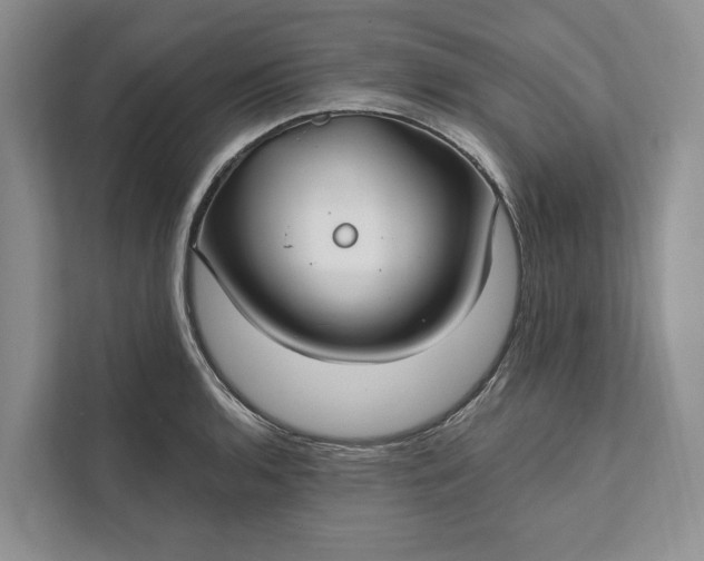 X0000112021136200908171425